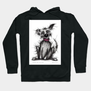 Fluffy the cute dog Hoodie